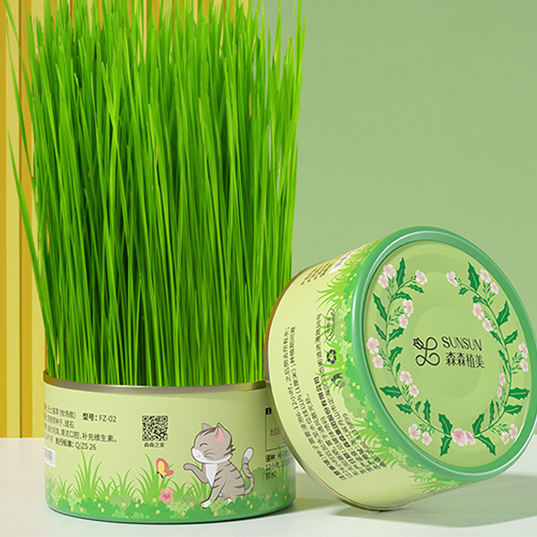 🔥BUY 2 GET 1 FREE🔥Canned cat grass