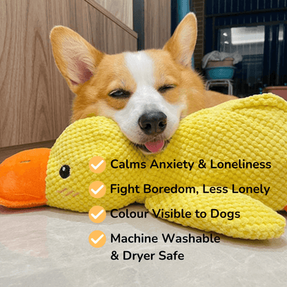 HQpet™ Calming Duck