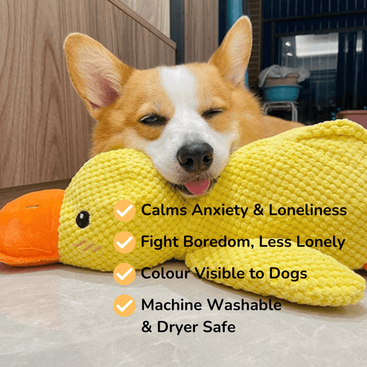 HQpet™ Calming Duck