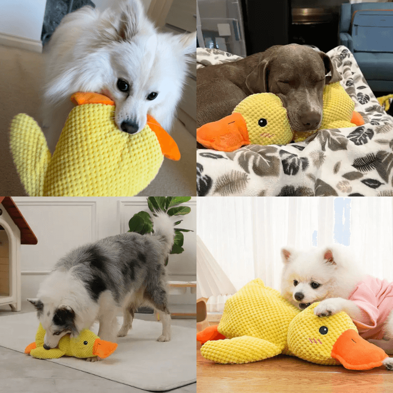 HQpet™ Calming Duck