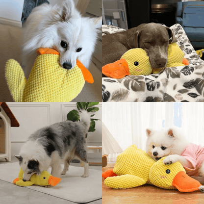 HQpet™ Calming Duck