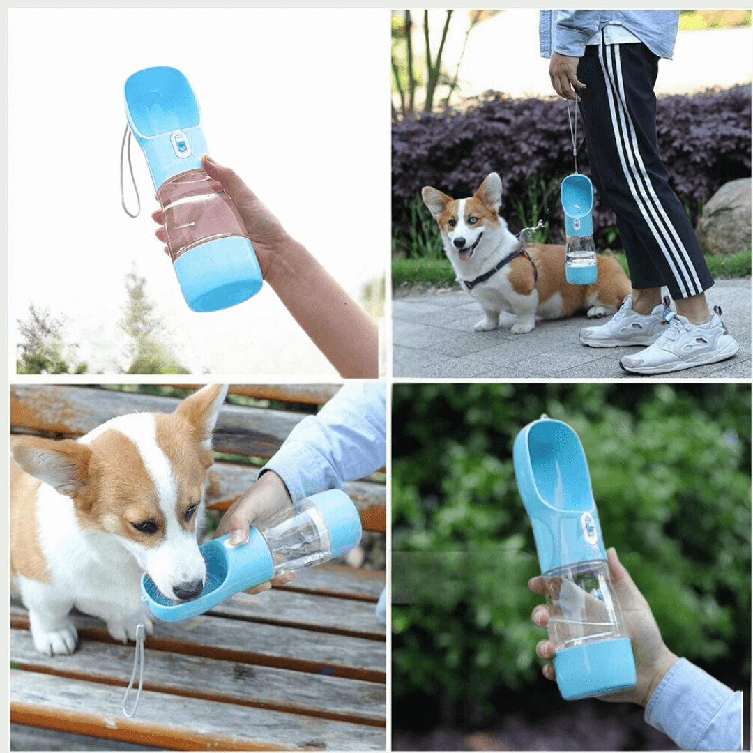 HQpet™ HydrateGo Bottle