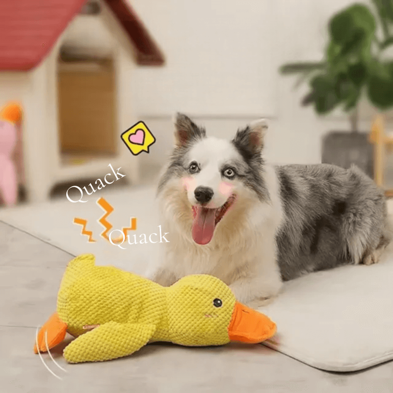 HQpet™ Calming Duck