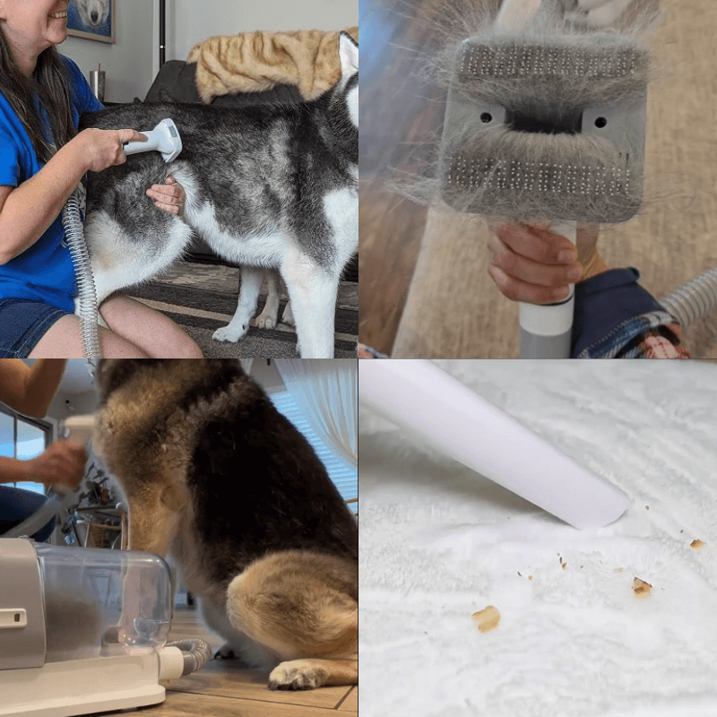 HQpet™ 6 in 1 Vacuum Groomer