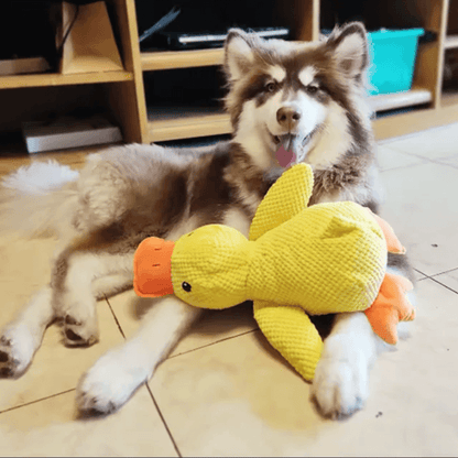 HQpet™ Calming Duck