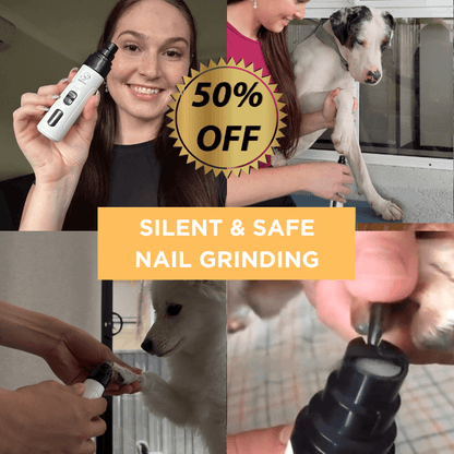 HQpet™ Everyday Grooming Bundle