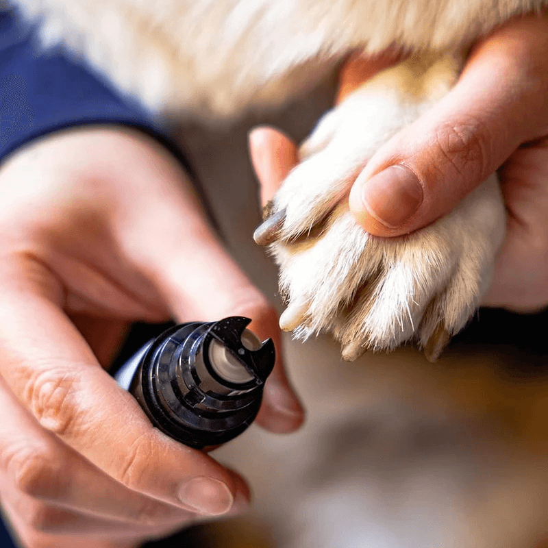 HQpet™  Silent Nail Grinder