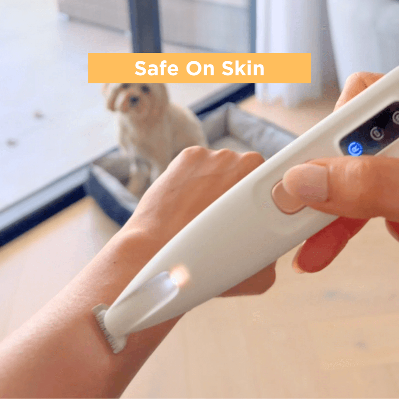 HQpet™ Everyday Grooming Bundle