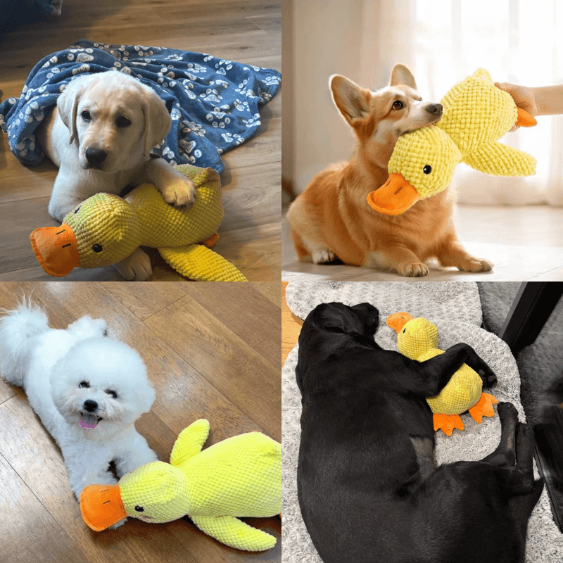 HQpet™ Calming Duck