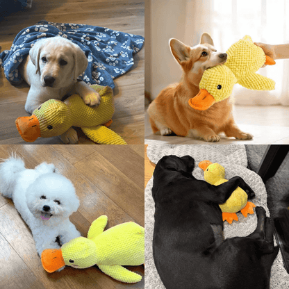 HQpet™ Calming Duck
