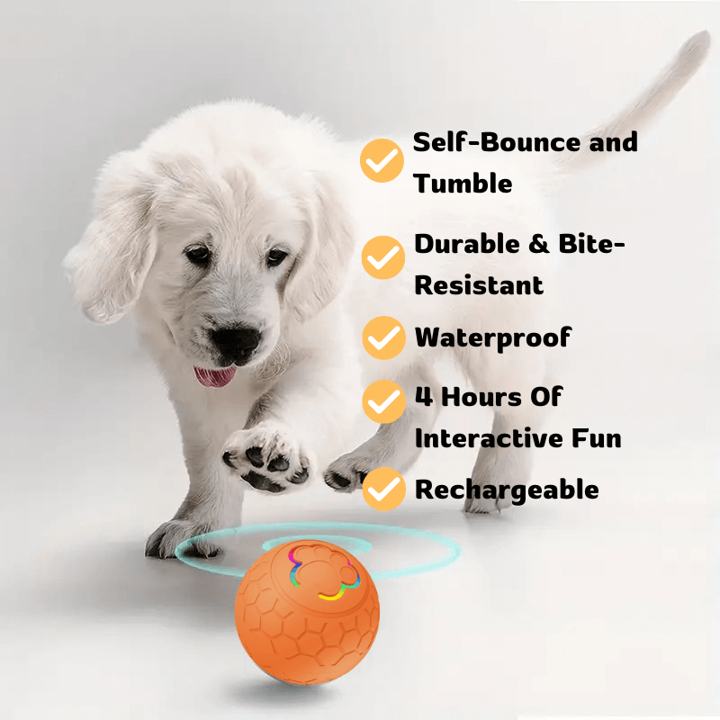 HQpet™ Automatic Ball