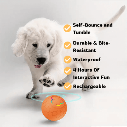 HQpet™ Automatic Ball