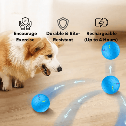HQpet™ Automatic Ball
