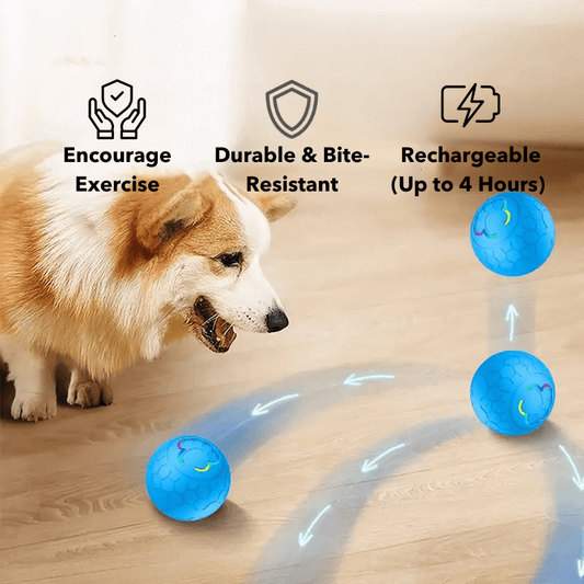 HQpet™ Automatic Ball