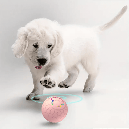 HQpet™ Automatic Ball