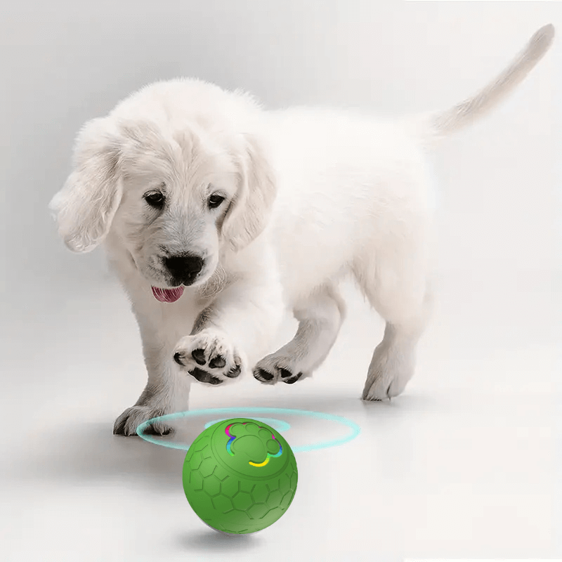 HQpet™ Automatic Ball