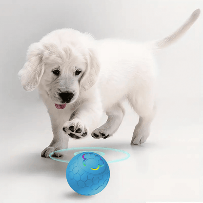 HQpet™ Automatic Ball