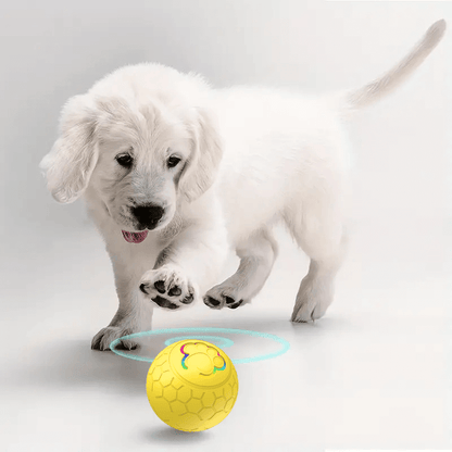 HQpet™ Automatic Ball
