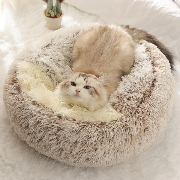 🔥Clearance 80% OFF🔥Pet Plush Bed