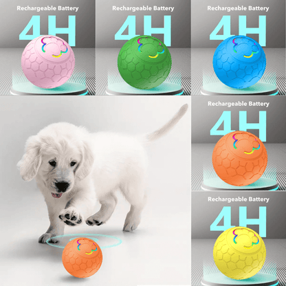 HQpet™ Automatic Ball