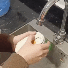 HQpet™ Steam Brush