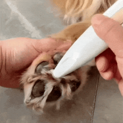 HQpet™ Fur Trimmer