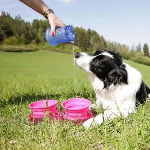 🔥Reise-Dinner-Set für Hunde 