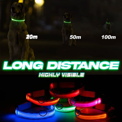 🔥DERNIER JOUR 70 % DE RÉDUCTION - Collier de sécurité nocturne à LED pour animaux de compagnie