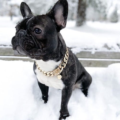 Thick Gold Chain Pets Safety Collar