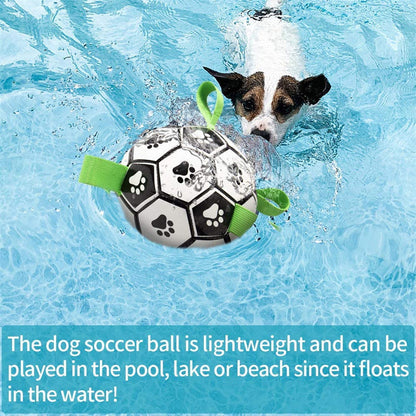 hqpet™ - Soccer Ball For Dogs