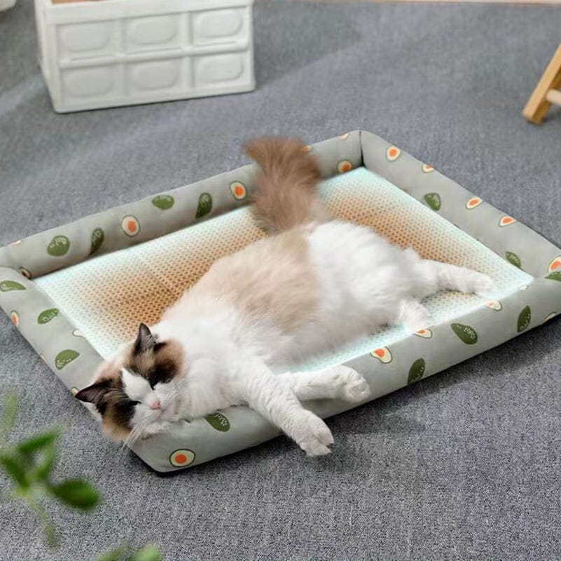 Pets Like Me - Washable Rattan Mat For Pets