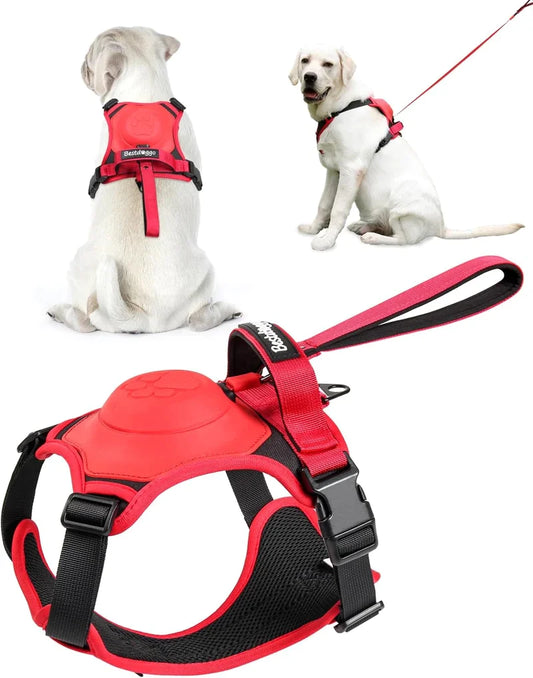 All-in-one Dog Harness & Leash