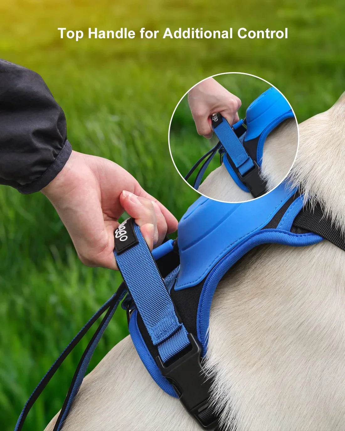 All-in-one Dog Harness & Leash