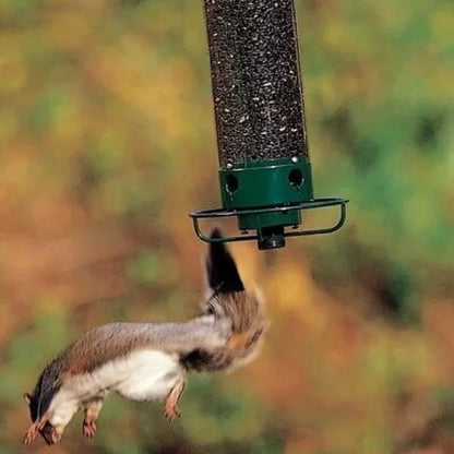 🔥  49% OFF🔥Squirrel-Proof Bird Feeder