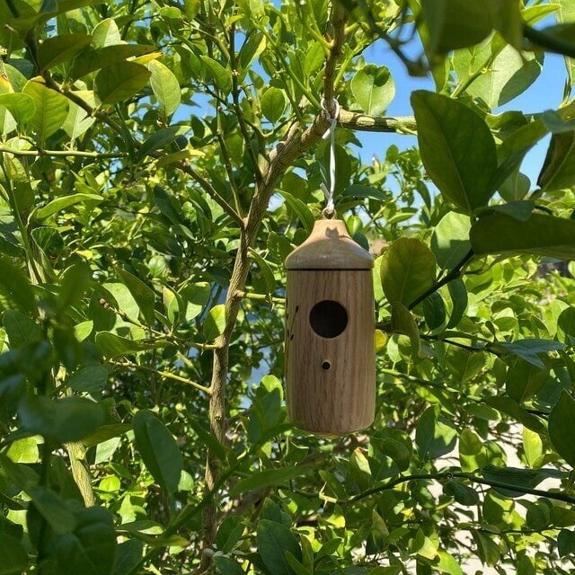 Vente du dernier jour 70 % de réduction💕Maison de colibris en bois-cadeau pour les amoureux de la nature 