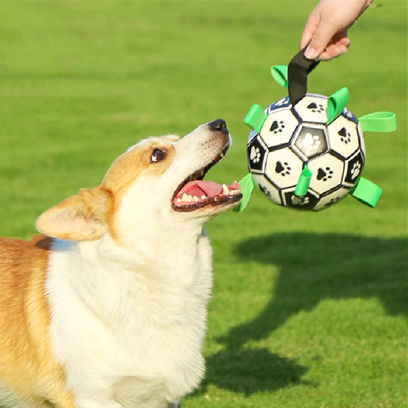 hqpet™ – Fußball für Hunde 