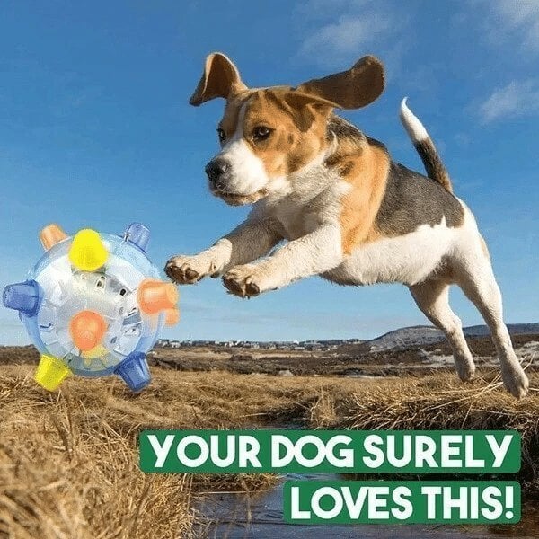 💥Offre spéciale 49% de réduction💥ACHETER-EN 1, OBTENEZ-EN 1 GRATUIT🔥Balle d'activation de saut pour chiens et chats