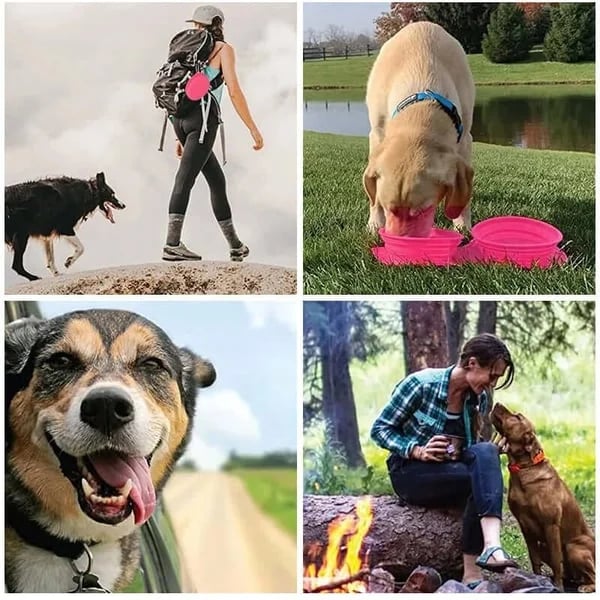 🔥Ensemble de dîner de voyage pour chien 