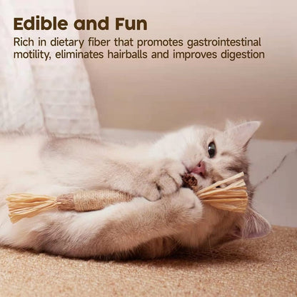 🔥Buy 2 Free 1 (3PCS)🔥Natural Silvervine Stick Cat Chew Toy