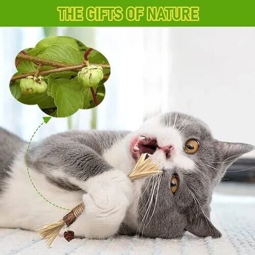 🔥Buy 2 Free 1 (3PCS)🔥Natural Silvervine Stick Cat Chew Toy