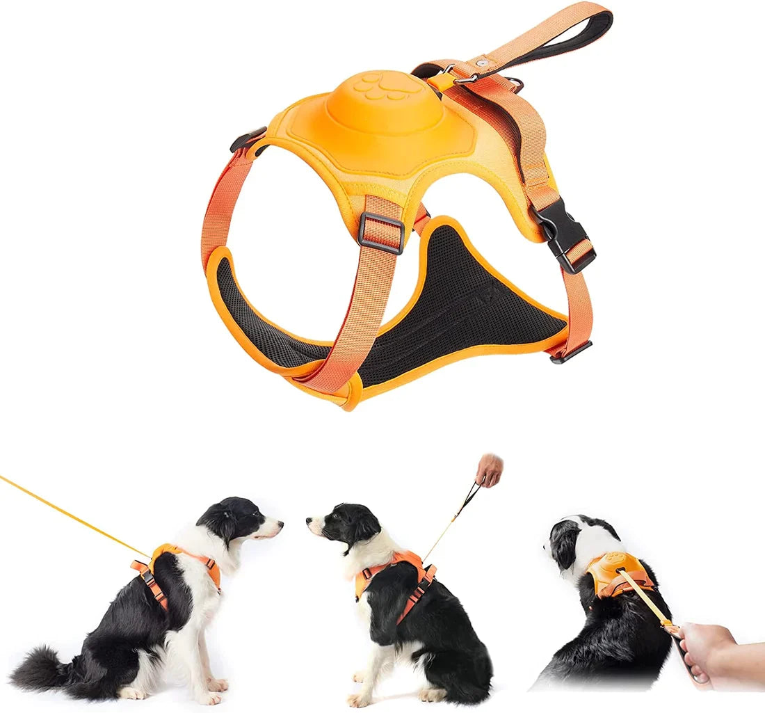 All-in-one Dog Harness & Leash