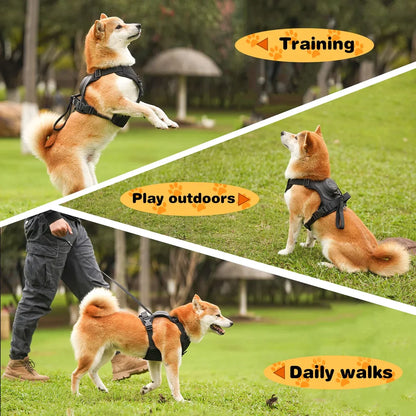 All-in-one Dog Harness & Leash