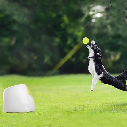 hqpet™ Automatic Ball Launcher