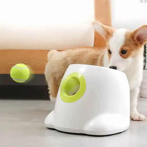 hqpet™ Automatic Ball Launcher