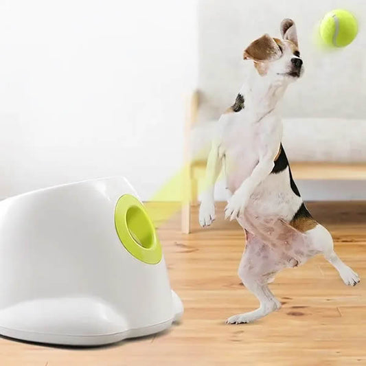 hqpet™ Automatic Ball Launcher