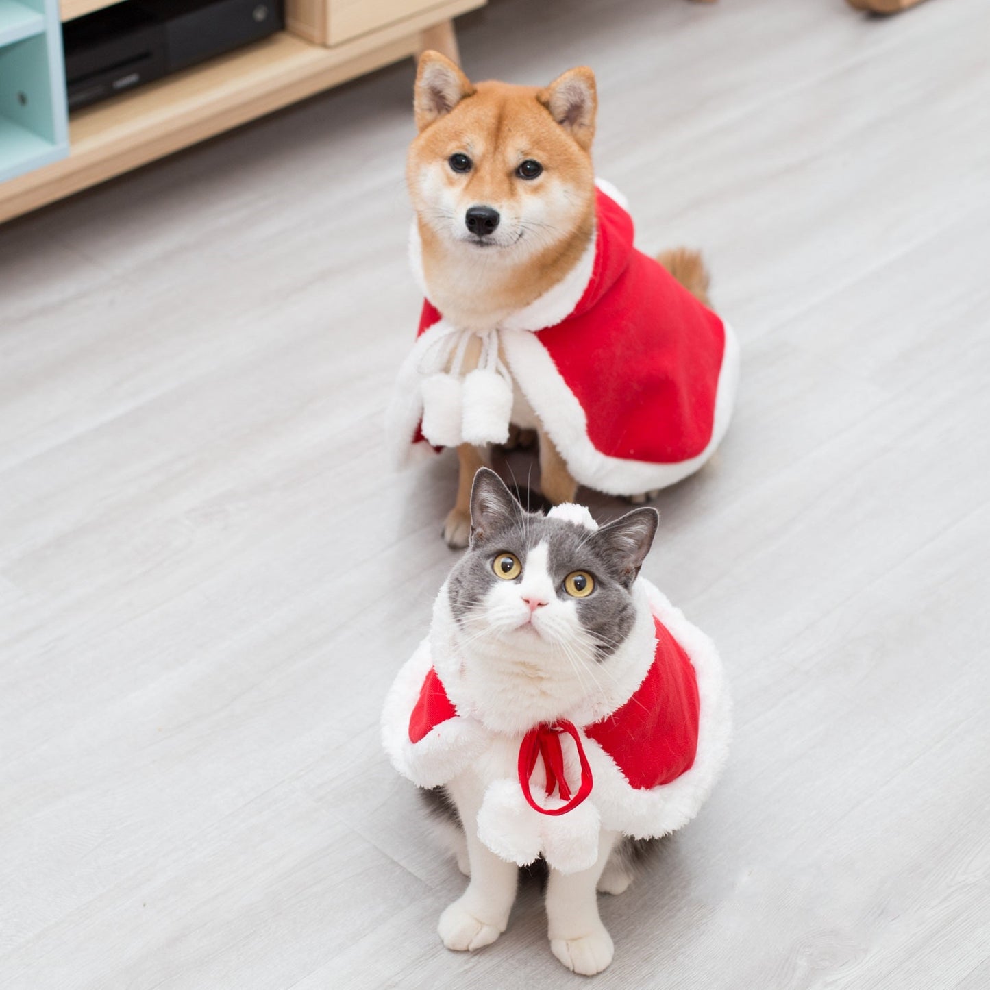 Little Red Riding Hood Cape Christmas Pet Cat Hooded Cape Pet Clothing，Dog