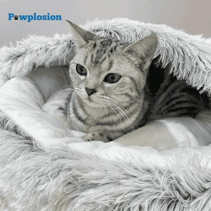 hqpet Cozy Pillow