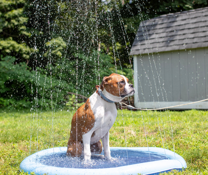 hqpet™ - Refreshing Dog Sprinkler Pad