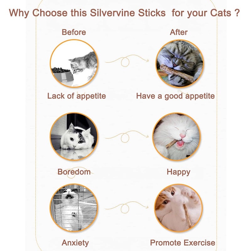 🔥Kaufen Sie 2 gratis 1 (3 Stück)🔥Natürliches Silvervine Stick-Kauspielzeug für Katzen 