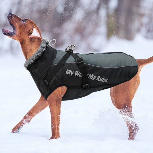 Warm and cozy vest for dog